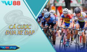 Cá Cược Đua Xe Đạp